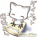 ダイエット 猫