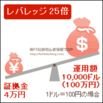 外為どっとコム 外貨ネクストネオ 個人口座 レバレッジ 最大レバレッジ 最高レバレッジ 25倍